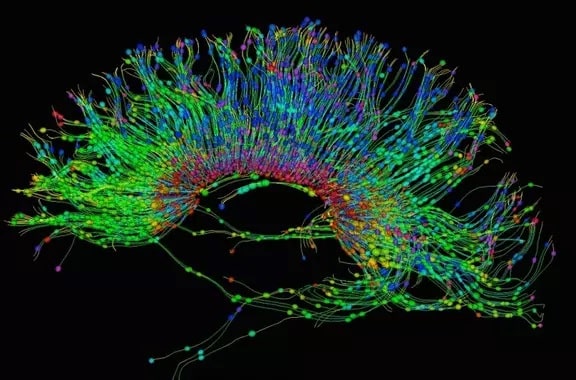 Cómo optimizar los neurocircuitos o circuitos neuronales