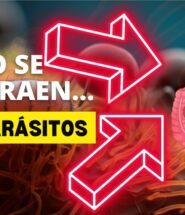 Cómo se contraen los parásitos en el cuerpo humano