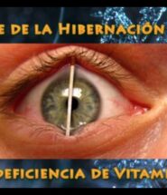 Síndrome de Hibernación Humana (por deficiencia de Vitamina D3)