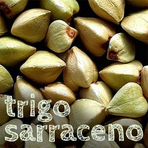 EL TRIGO SARRACENO, MUY RICO EN HIERRO